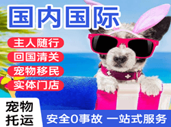 运城机场货运国际宠物托运 【国